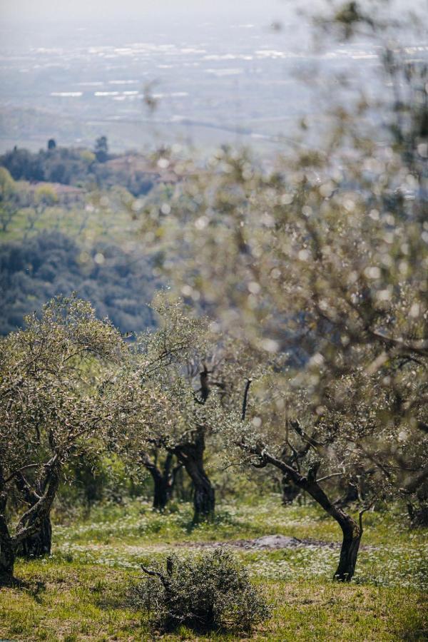 Villa Desiderio Tuscany Pistoia Luaran gambar