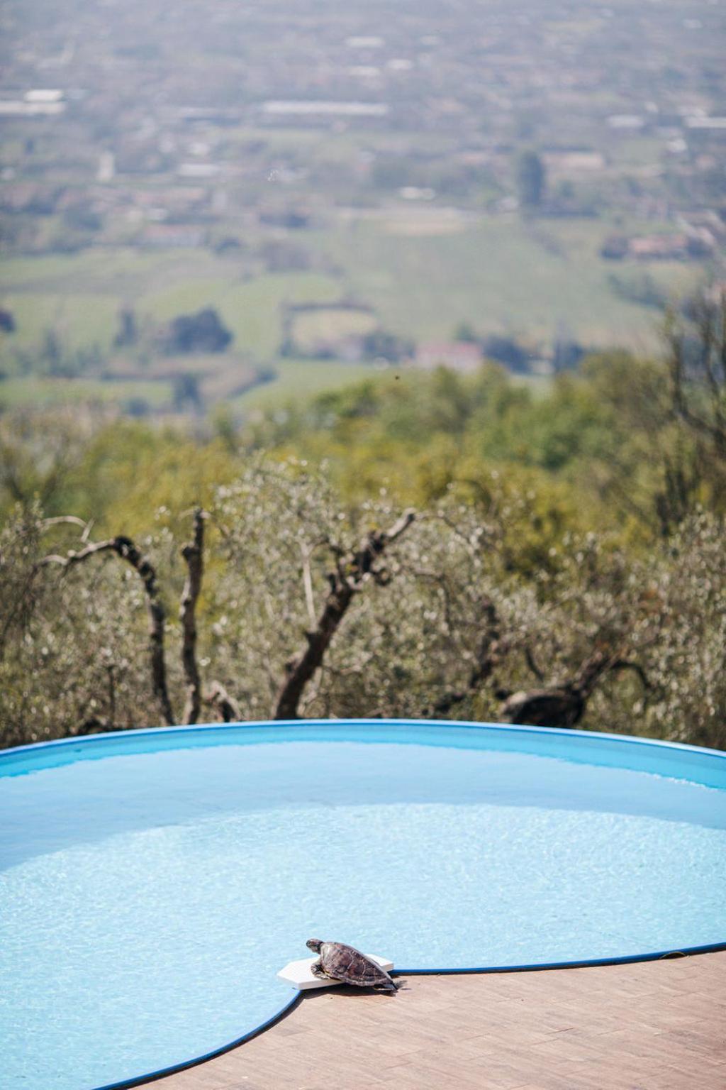 Villa Desiderio Tuscany Pistoia Luaran gambar