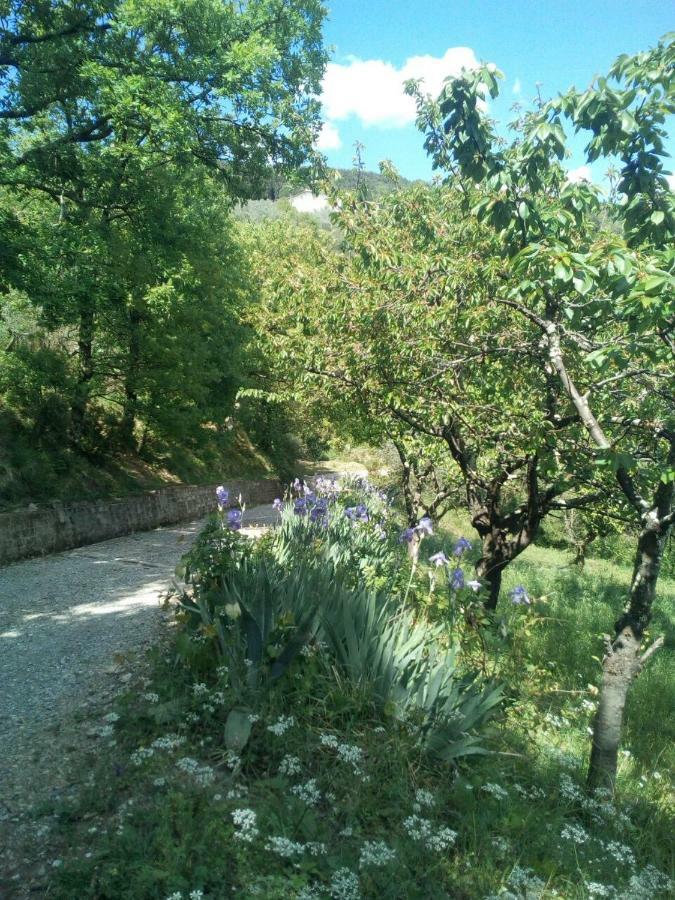Villa Desiderio Tuscany Pistoia Luaran gambar